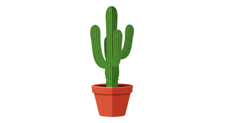 Green cactus plant in orange pot on white background for decoration and interior design
