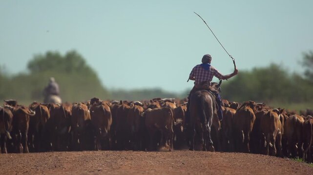 Gauchos on Horseback Herding Cattle on the Pampas at Golden Hour
