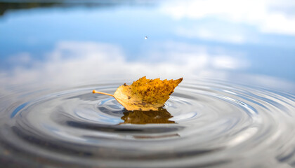 A shimmering ripple across a calm lake, with a single leaf floating effortlessly, reflecting nature&rsquo;s tranquility.