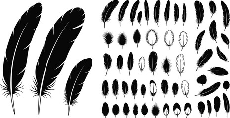 Black feather silhouettes collection, assorted bird plumage shapes isolated on white background, detailed vintage vector illustration bundle © MostMonira
