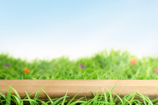 Wooden empty pavement and green grass. Spring background for product presentation.