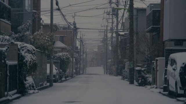 Winter weather in Setagaya with falling snowflakes.