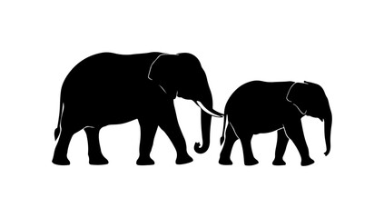 Fototapeta premium Mother elephant and baby elephant walking together in silhouette