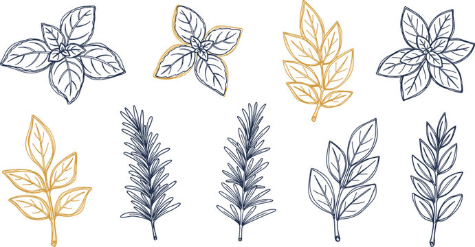 Collection of assorted hand-drawn leaves and plants in various styles and colors displayed on a clean background from a direct viewpoint