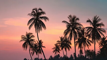Obraz premium Tropical Sunset Palm Tree Silhouettes