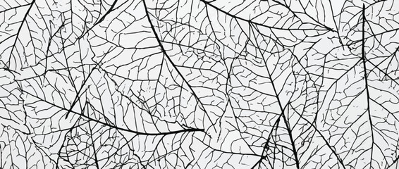 Fototapeta premium Crayon scribble diagonal organic lines seamless texture pattern. Zebra animal motif background. Cross hatch black and white sketch seamless texture. Hand drawn line hatching scribble strokes.