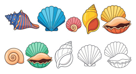 Colorful Seashell Collection: Scallops, Conches, and Pearls © afgan