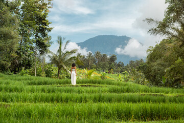 Back View of Woman in Dress Exploring Tropical Rice Terraces in Nature