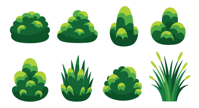 Green Bush Collection. Garden Plants Vector. Nature Elements.