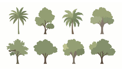 Hand painted tropical tree watercolor vector collection for landscape and architectural elevation isolated on white