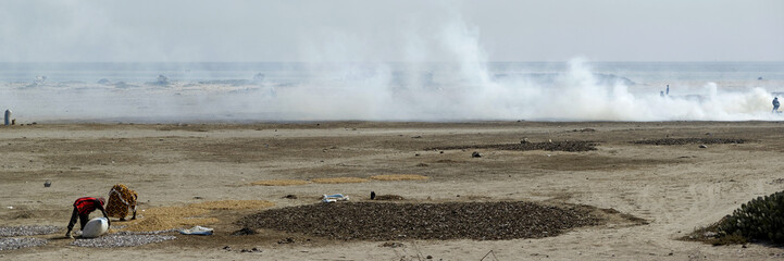 Fumerie de poissons au Sénégal © PPJ