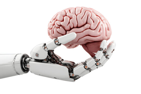 Conceptual image of AI robot cyborg hand holding human brain isolated on cut out PNG or transparent background. Symbol idea of robots taking over intellectual tasks from human. Artificial intelligence