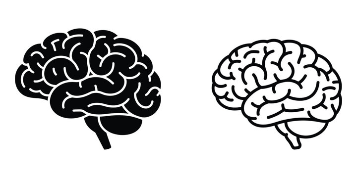Human brain anatomy icons showing solid and line art side view style
