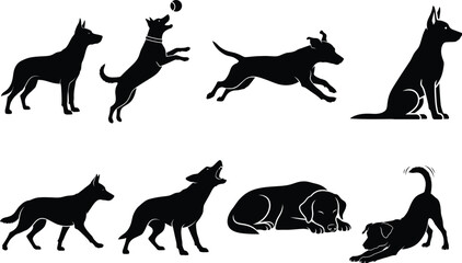 Obraz premium set of animals silhouettes