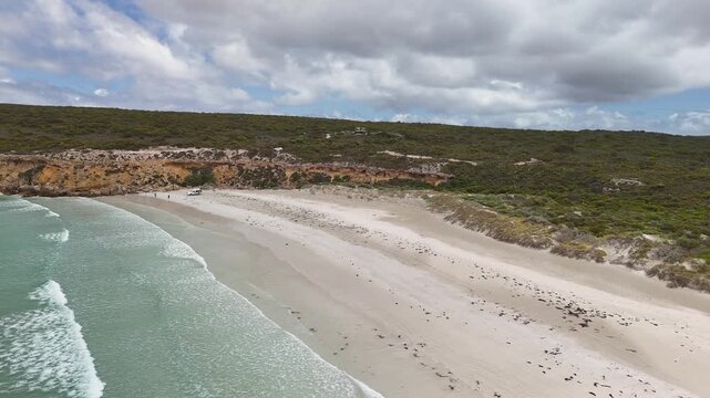 Fishery Bay, Sleaford, South Australia &ndash; 4K Aerial Drone Footage of Turquoise Waters, White Sand Beach and Rugged Eyre Peninsula Coastline in Lincoln National Park. 