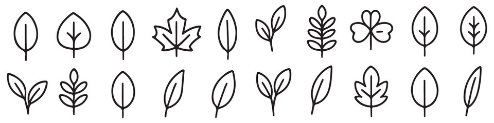 leaf icon set line style. Leaves of trees and plants, Leaves icon Collection, design for natural, eco, bio, and vegan labels. Vector illustration. © Daishin