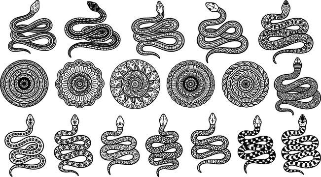 Ornamental snake set with decorative coiled serpents and mandala patterns vector collection for tattoo design and mystical illustrations