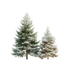 Fototapeta premium Snowy Evergreen Trees on Transparent Background