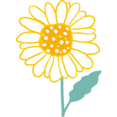 A beautiful floral daisy flower vector illustration featuring yellow petals and green leaves isolated on white for summer garden nature art and spring blossom design