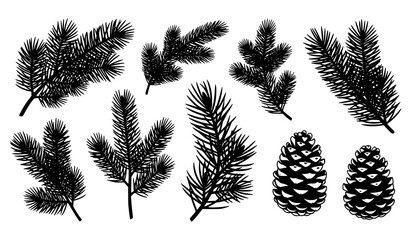 Elegant black pine branch silhouette vector collection with botanical needles and pinecones for holiday design isolated on white © Md Humaun