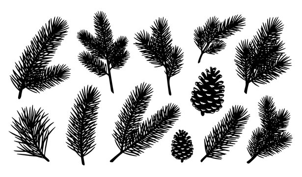 Black pine branch silhouette vector set with botanical foliage and pinecone elements isolated on white background