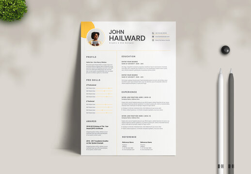 Professional Resume CV Template