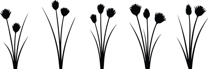 Set of Minimalist black flowering chive stalk silhouette vector icon © Vector.com