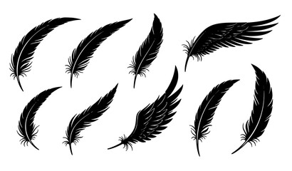 Decorative bird feather silhouette vector collection with tribal plume and artistic wing elements isolated on white © Md Humaun
