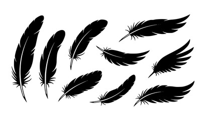 Modern black feather silhouette icon vector bundle with artistic quill and wing shapes isolated on white © Md Humaun