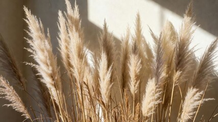 Obraz premium Bunch of dry grass is in a vase. The grass is brown and dry, and it looks like it has been sitting in the vase for a while