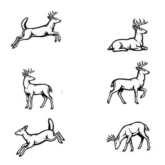 line art set of deer.