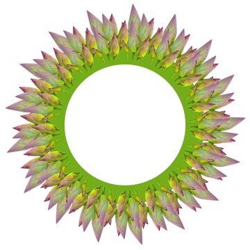 Lotus Bud Circle Frame Video - Traditional Hindu Puja Floral Ring Decoration for Festivals and Weddings A beautifully crafted circular frame animation featuring a chain of fresh lotus buds.