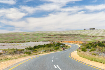 Naklejka premium Asphalt road in South Africa surrounded by fields