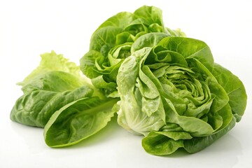 Obraz premium A bunch of green lettuce leaves are arranged on a white background