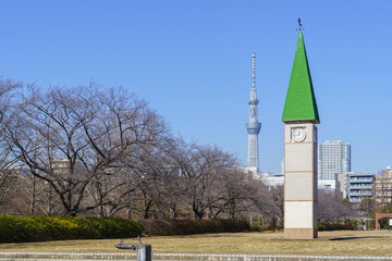 Obraz premium 日本の風景【東京都】猿江恩賜公園・中央広場の時計塔とスカイツリー(冬)