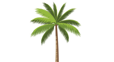 A graphic illustration of a vibrant green palm tree with a tall trunk against a white background.