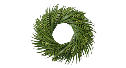 Green fern wreath isolated on transparent background with lush foliage