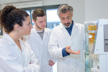 Fototapeta premium students in biology attending training with microbiologist