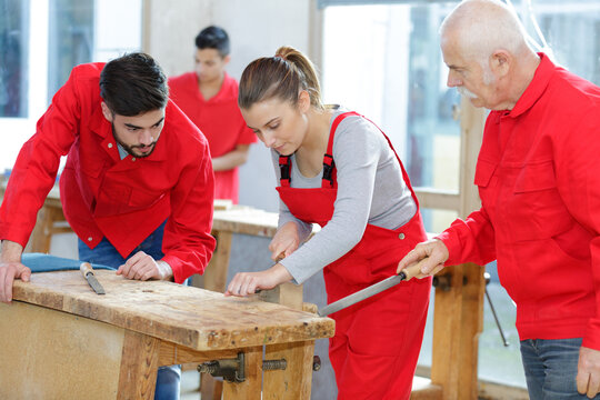portrait of carpenter team cutting wood