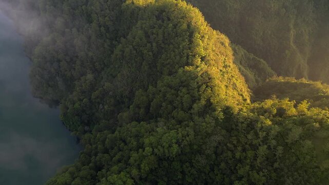 Dense Forest Ridgeline Kintamani At Sunrise Bali Indonesia Danau Batur Drone Rise 4K 30FPS