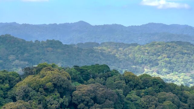 Bwindi Impenetrable National Park's Afromontane rainforest landscape in southwestern Uganda Albertine Rift, featuring layered montane hills and dense forest canopy, Static wide shot