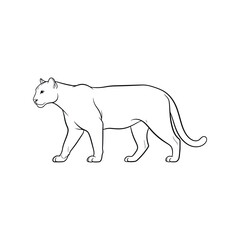 Obraz premium Black Panther Big Cat Silhouette Icon Vector