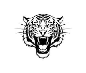 Fototapeta premium Aggressive Tiger Head Illustration