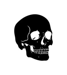Human Skull Silhouette