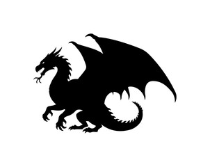 Black Dragon Silhouette