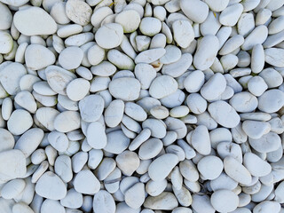 Premium polished white pebbles for elegant landscaping, aquarium decor, and garden paths.