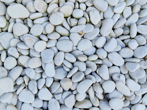 Premium polished white pebbles for elegant landscaping, aquarium decor, and garden paths.