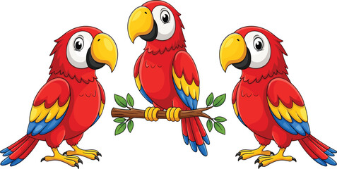 Set of three colorful cartoon scarlet macaw parrots character vector illustration isolated on white background for tropical wildlife design, zoo education, and exotic bird nature projects. © Ajmira