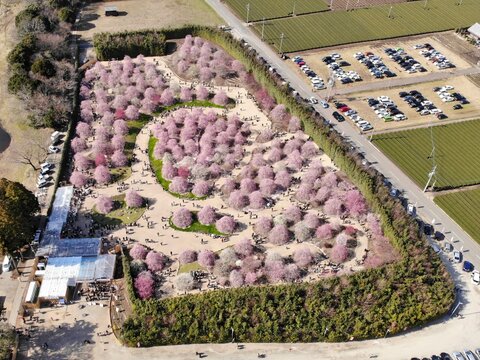 created by dji camera