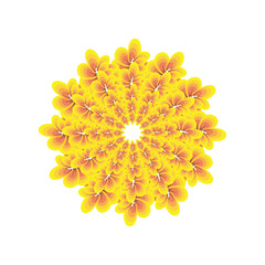 Make a Professional Flower Logo Images